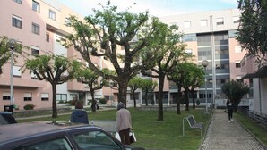 A courtyard with trees, a paved walkway, and a building with multiple windows.