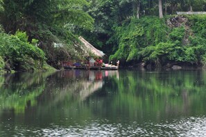 Vista desde la propiedad