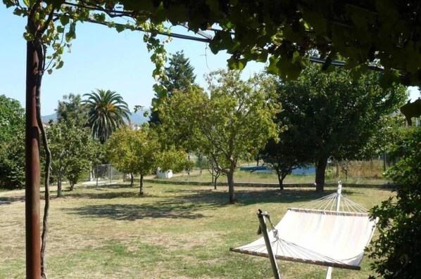 Un'amaca in una zona erbosa all'aperto, con alberi e cielo sereno.