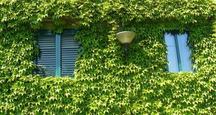 Vilagarcia De Arousa: House with garden, near the sea.