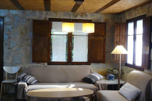 TV, fireplace, ping pong, books