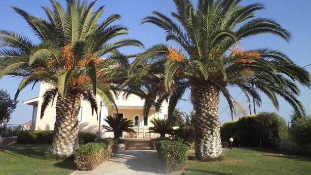 A building with a paved entrance, surrounded by palm trees and a well-maintained lawn.