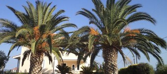 Pool villa near airport/near Rafina port-zoo/free car available