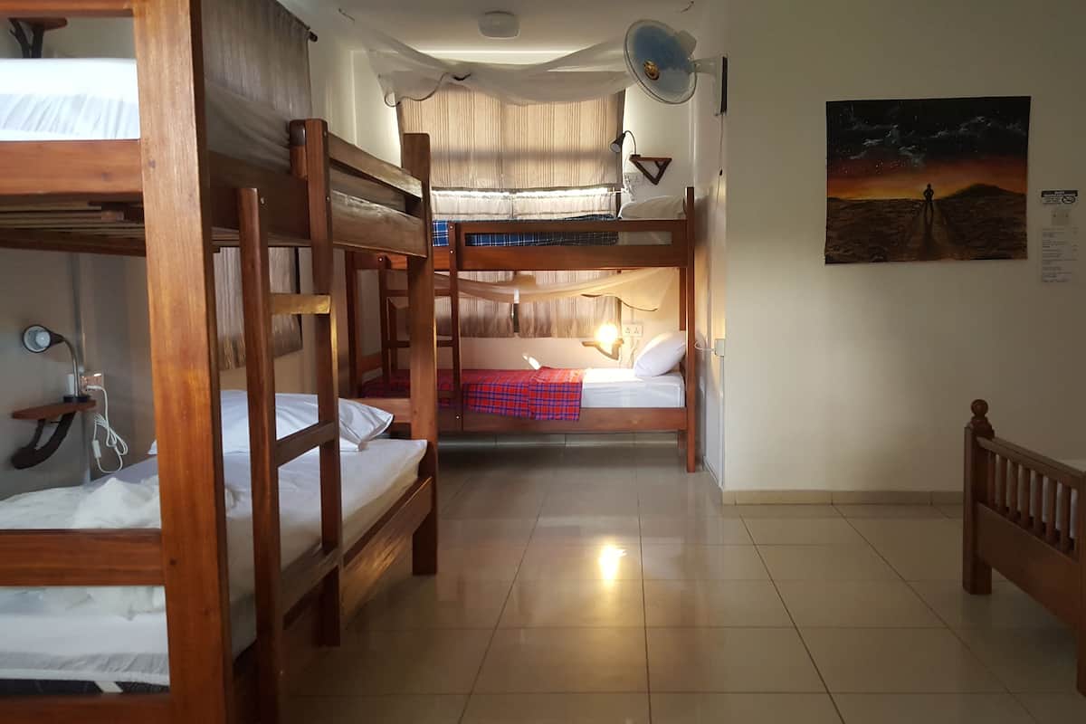 Dormitório compartilhado conforto, em dormitório misto (12-bed) | Wi-Fi de cortesia