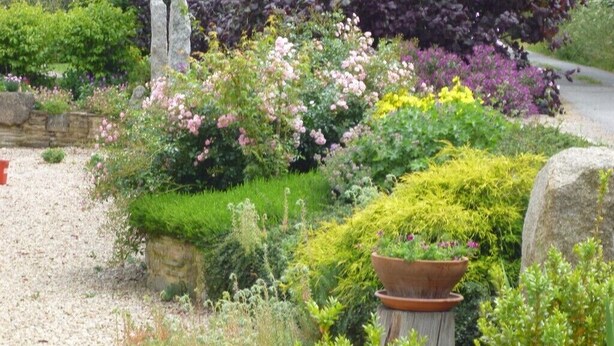 A garden with various plants and a stone structure.