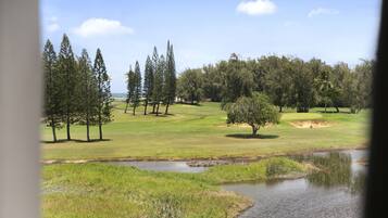 A golf course with a pond, trees, and a clear sky.