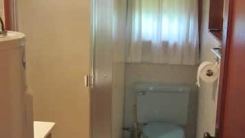 Shower, towels, toilet paper