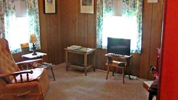 Smart-tv och eldstad