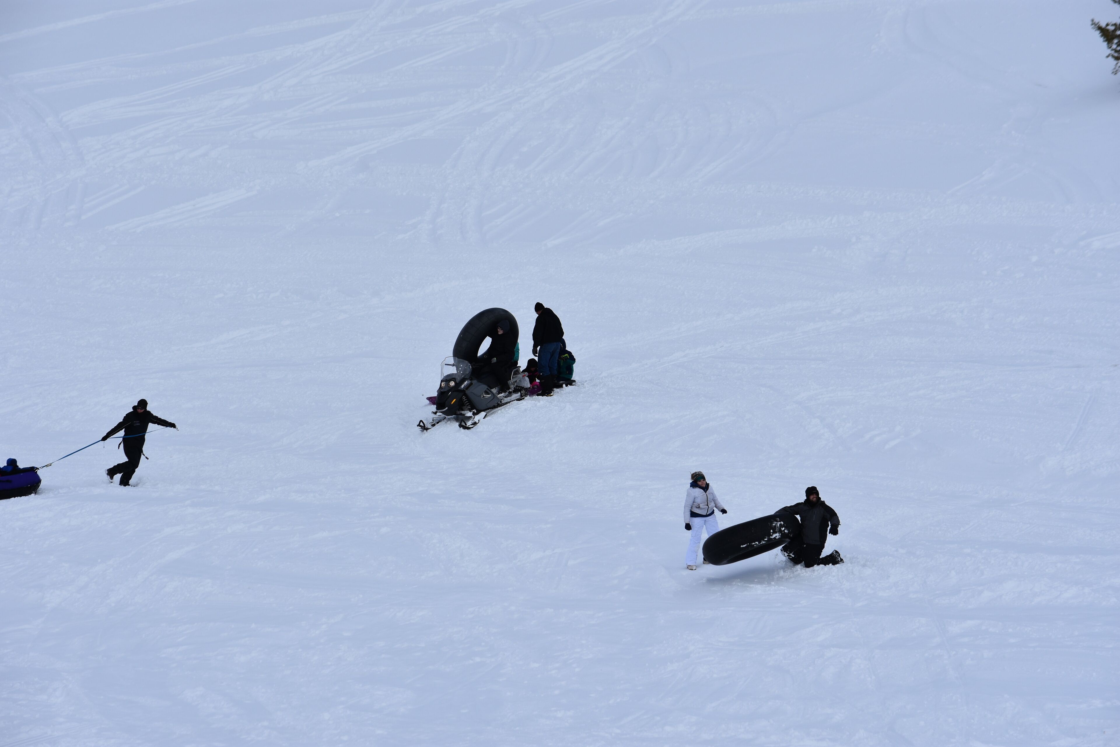 Snø- og skisport