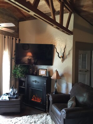 Smart TV, fireplace, books
