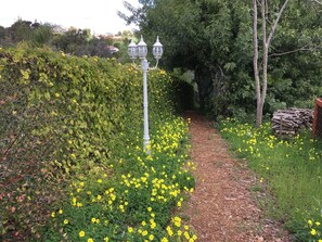 Ein Gartenweg mit gelben Blumen, einer Hecke und einem Holzstapel.