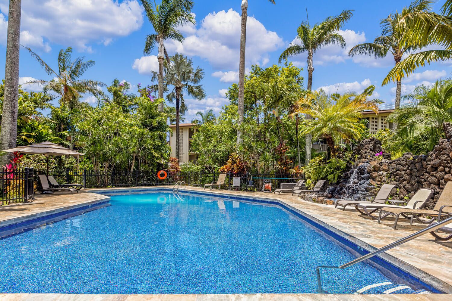 A swimming pool with lounge chairs and palm trees.