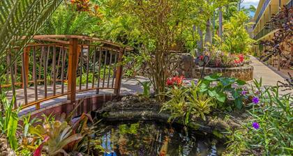 Prince Kuhio Large Garden View Studio 232