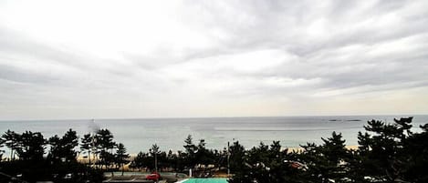 Vista costera con una carretera que conduce a una playa, árboles en primer plano y un cielo nublado.