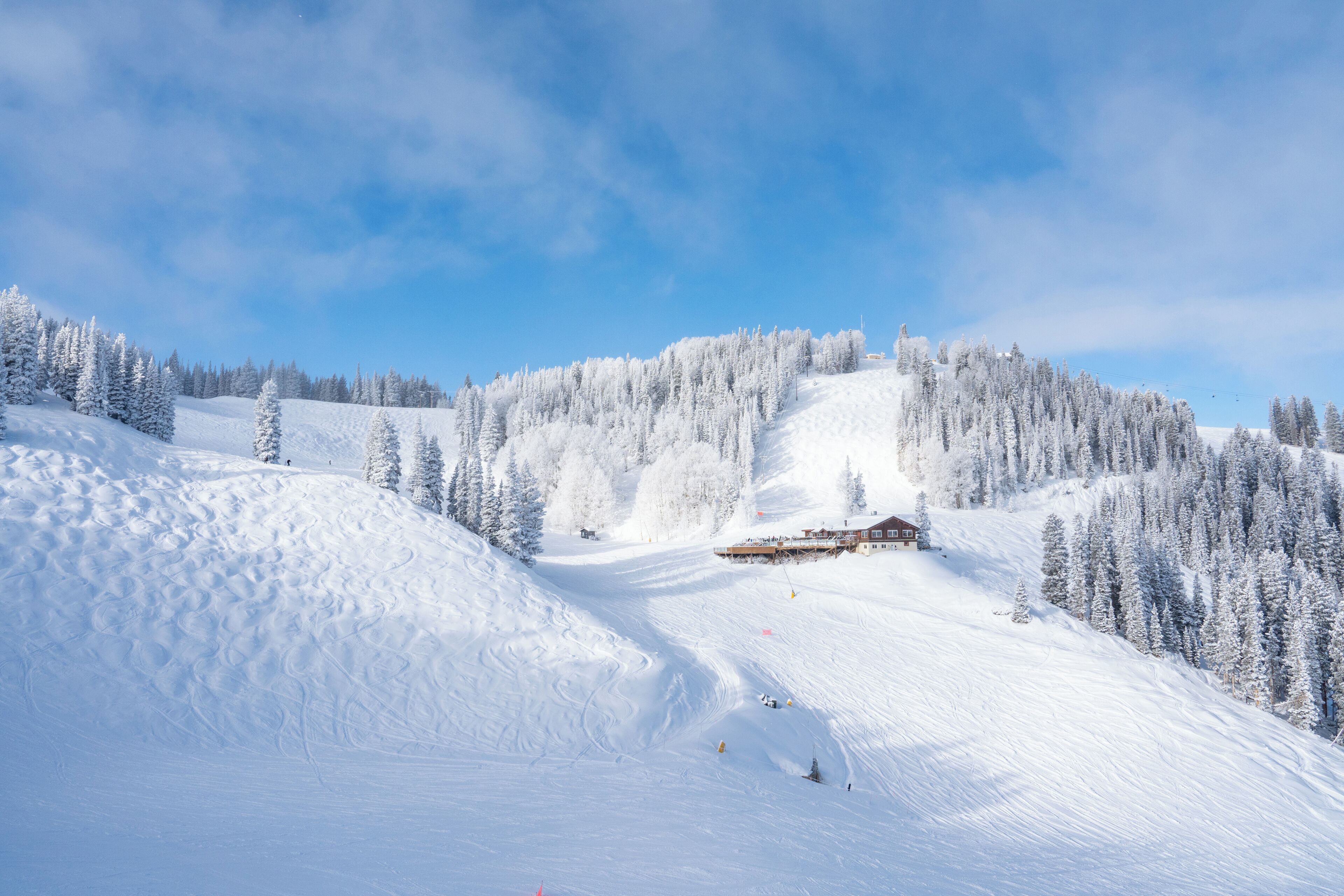 Une piste de ski enneigée, avec un chalet et des arbres.