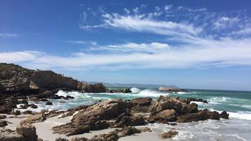 Site dâintĂ©rĂȘt