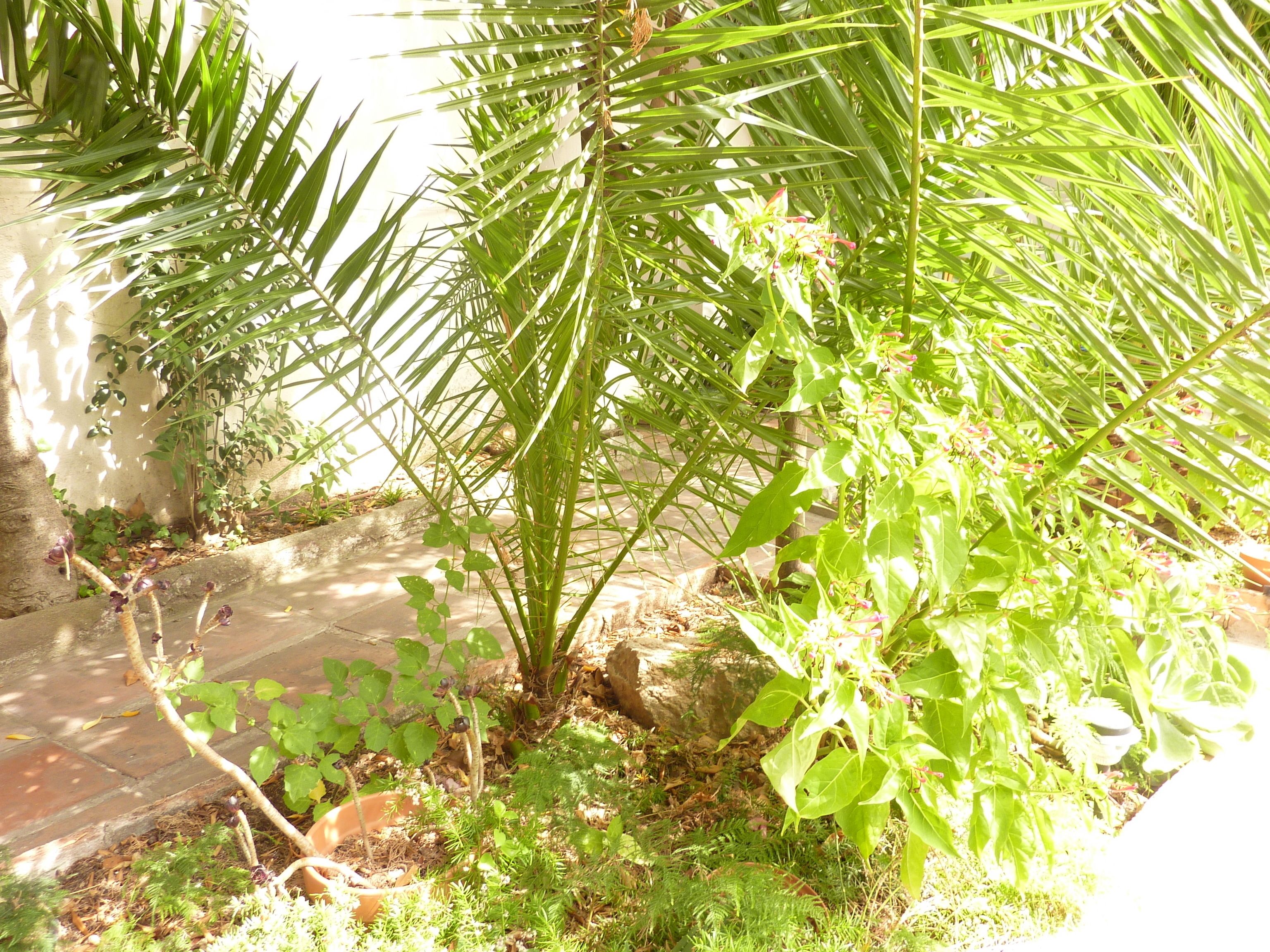 Foto - Casa vilaró Barcelona