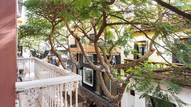 A balcony with a white balustrade overlooking a street with buildings and a tree with green foliage. - Pensión Casablanca (Santa Cruz de Tenerife)