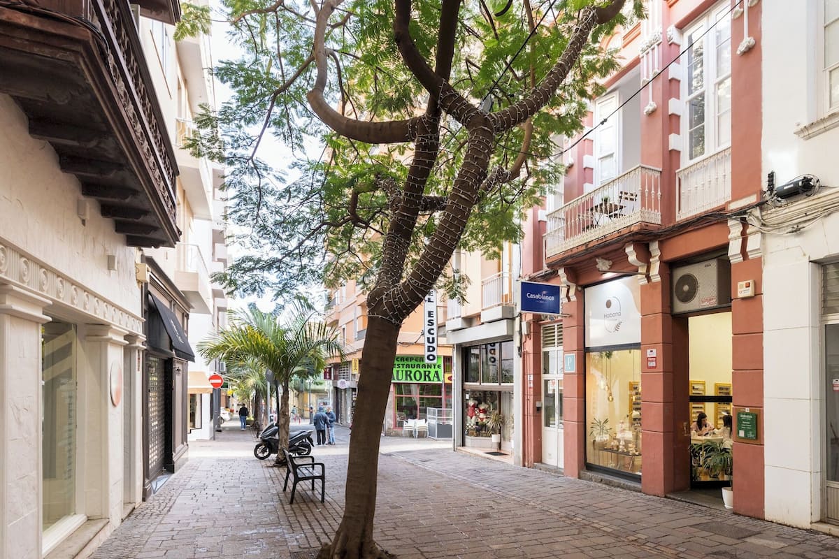 Una calle arbolada con comercios y un restaurante.