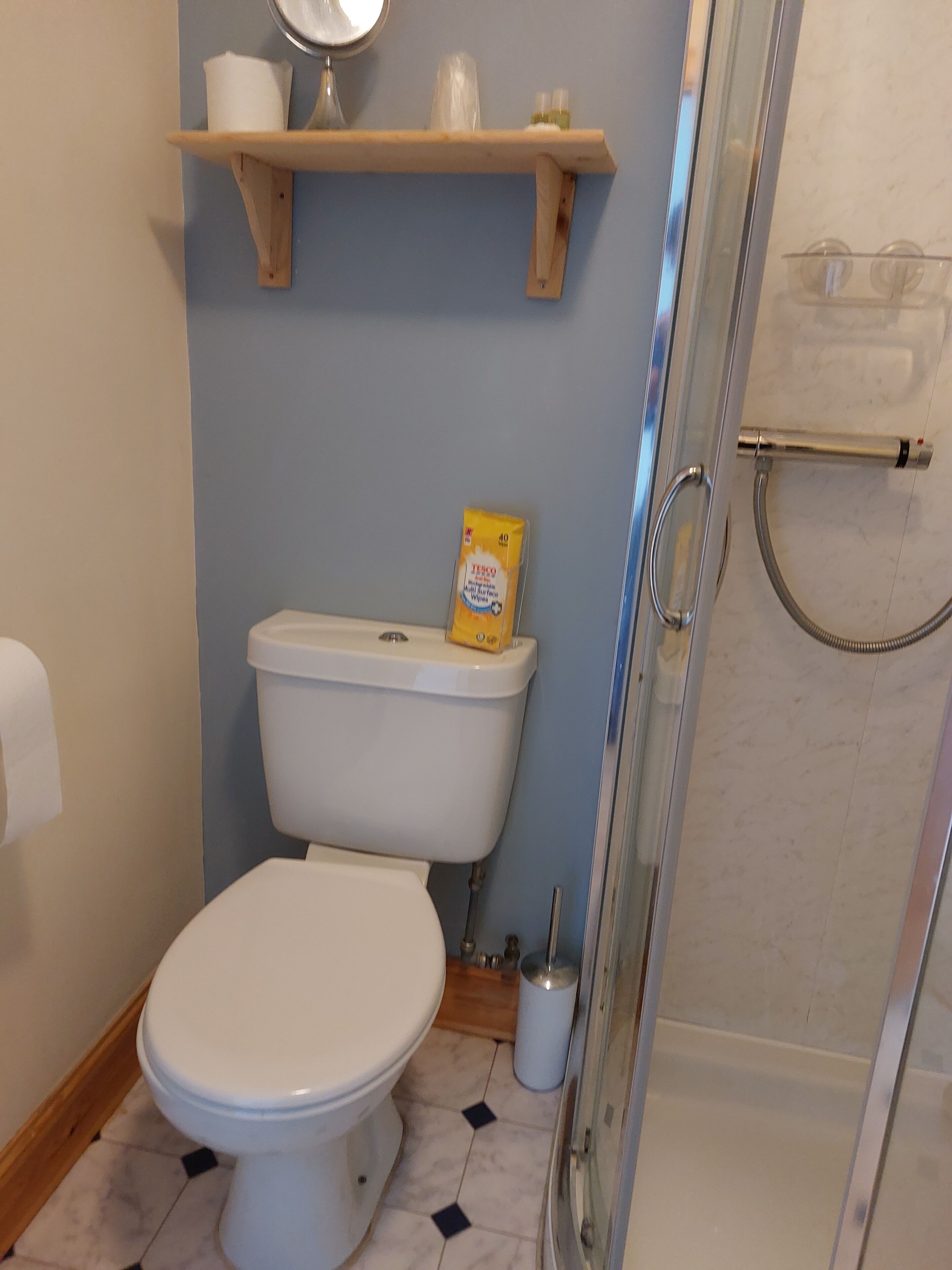Un baño con inodoro, estante de artículos de aseo y zona de ducha.