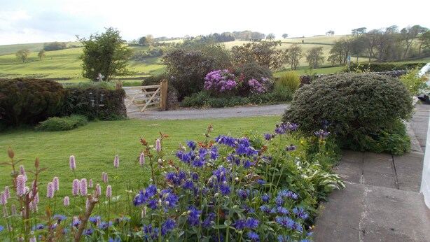 A rural landscape with a gravel path, lush greenery, and purple flowers. - Bluebell Bank (Dumfries)