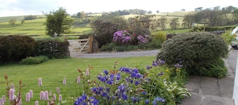 Bluebell Bank