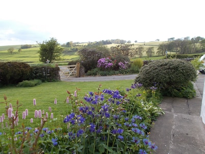 Bluebell Bank