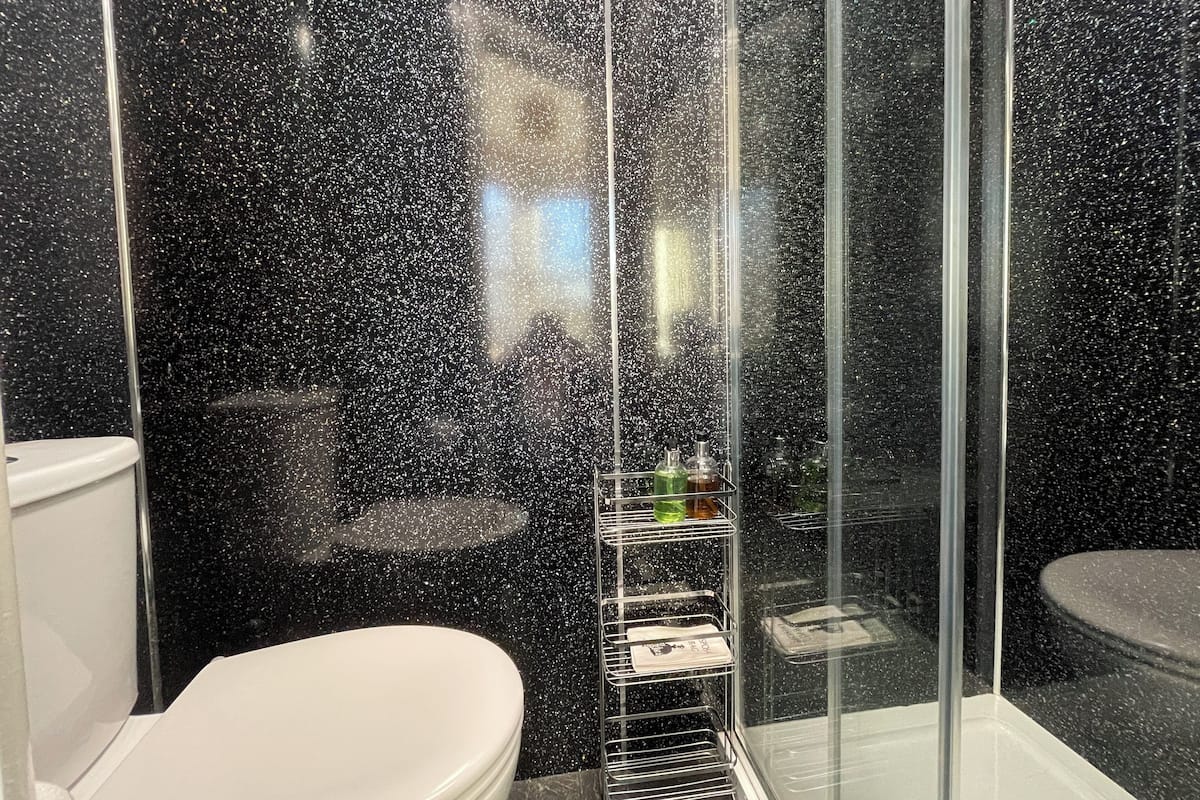 A bathroom with a black speckled wall, a white toilet, and a glass shower enclosure.