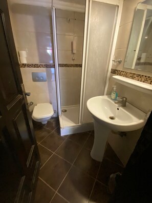 Une salle de bain avec des toilettes, une douche et un lavabo.