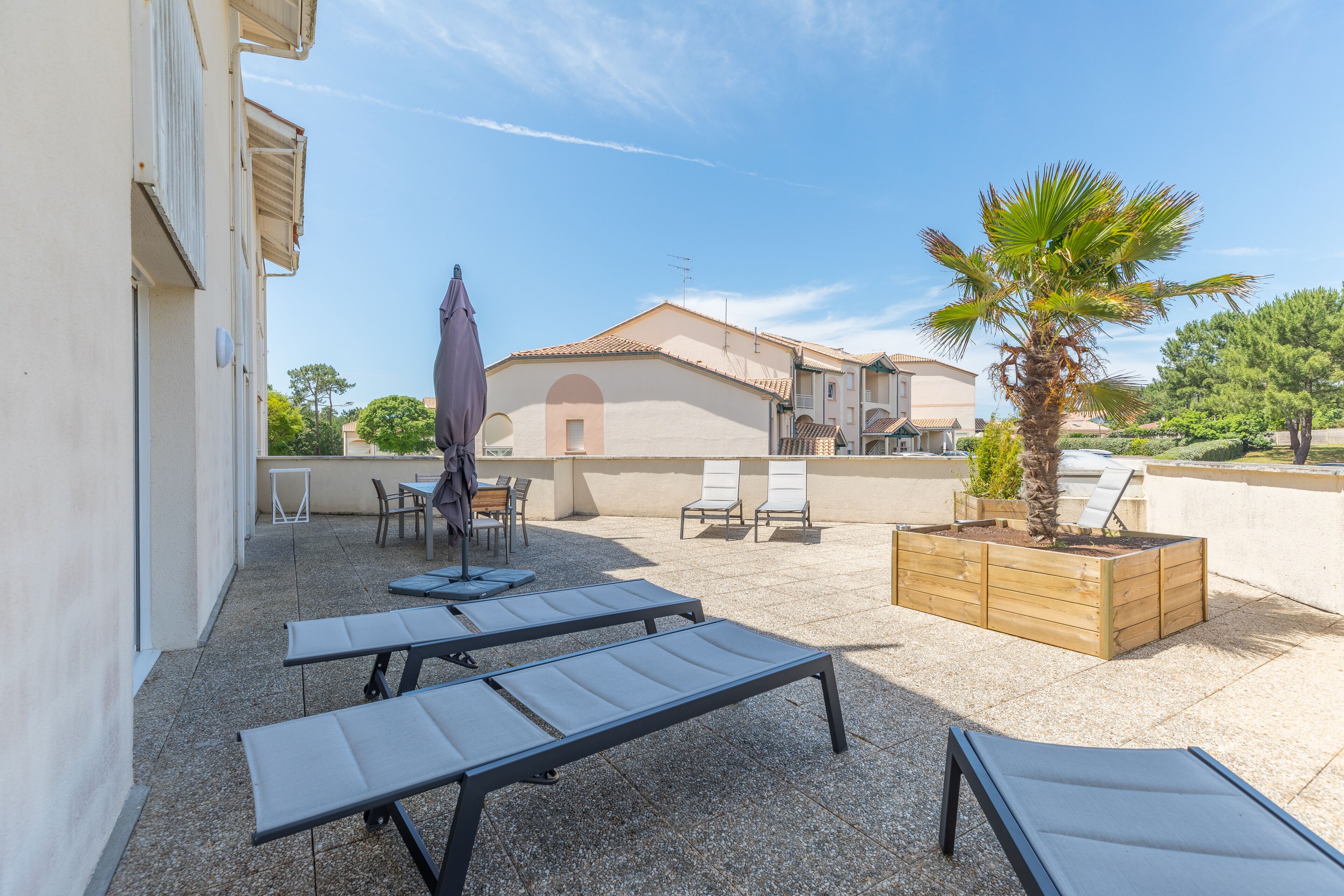 An outdoor patio with sun loungers, a wooden planter with a palm tree, and a building with a tiled roof in the background.