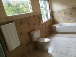 Family Apartment, 3 Bedrooms, Balcony, City View | Bathroom | Combined shower/tub, free toiletries, hair dryer, towels