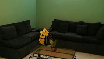 Family Apartment, 3 Bedrooms, Balcony, City View | Living area | 50-inch flat-screen TV with cable channels, TV, DVD player