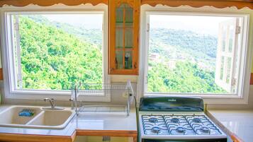 Family Apartment, 3 Bedrooms, Balcony, City View | Private kitchen | Full-size fridge, microwave, oven, stovetop