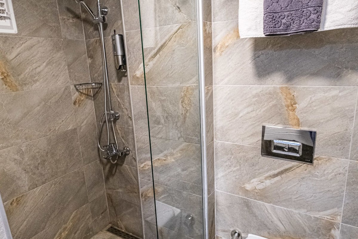 shower, rainfall showerhead, free toiletries, hair dryer