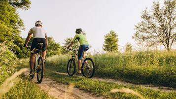 Two cyclists on a dirt path surrounded by greenery.