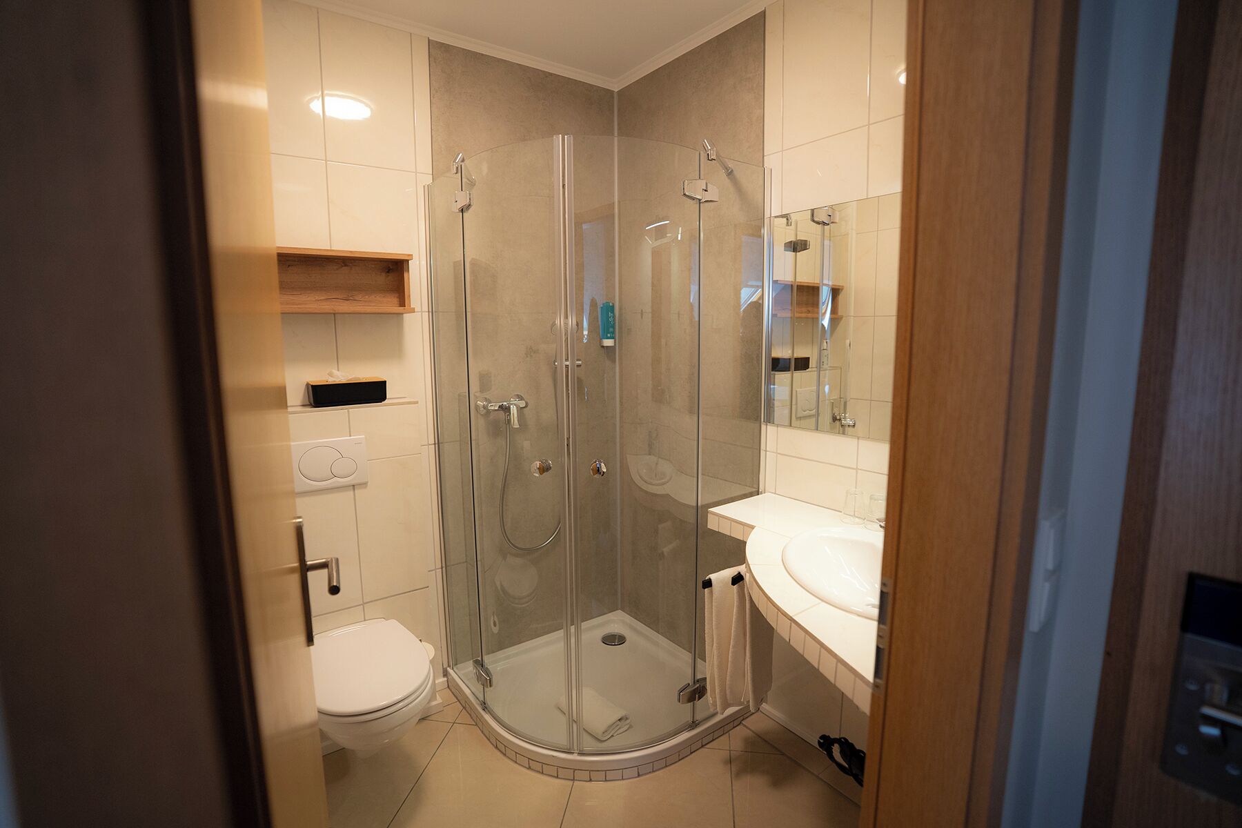 A bathroom with a glass-enclosed shower, a toilet, and a sink with a mirror.