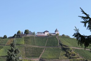 View from room - Hotel Restaurant zur Marienburg (Punderich)