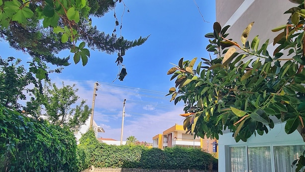 A swimming pool with clear blue water, surrounded by lush greenery and a stone wall. - Fora Apart Otel (Cesme)