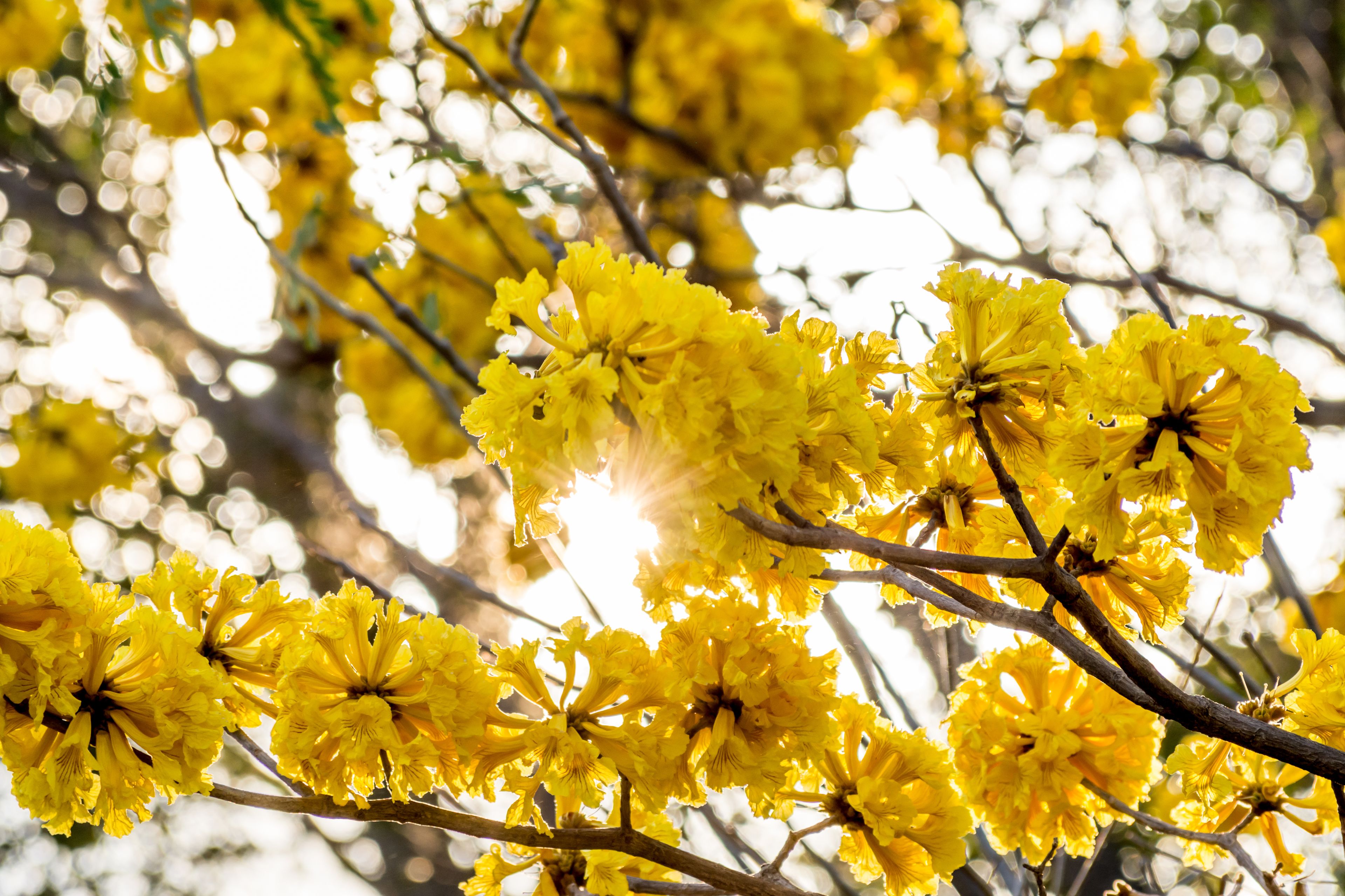 Foto - Villa Margarita