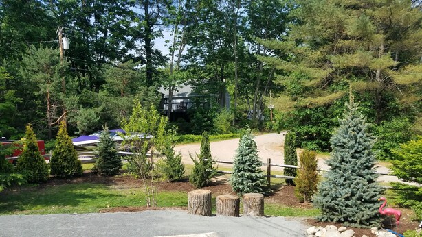 A landscaped area with a paved path, small trees, and a wooden fence. - Cozy and comfortable 3 bedroom.   (Alton)
