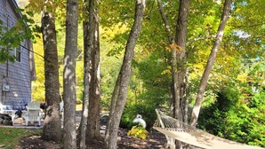 A hammock in a wooded area with trees and a building in the background. - Cozy and comfortable 3 bedroom.   (Alton)