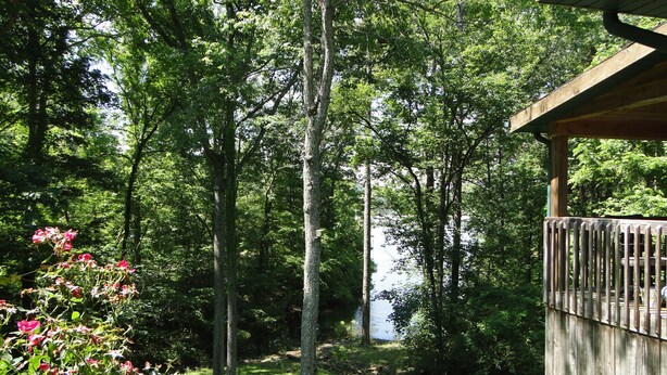 Een houten terras met uitzicht op een meer, omgeven door hoge bomen.