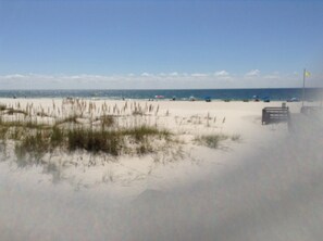 A beach with sand dunes and a flag.