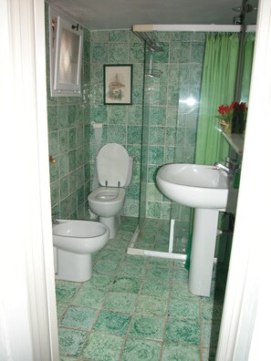 Tina con regadera, secadora de cabello, toallas, papel de baño 