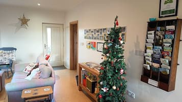 Télévision, cheminée, lecteur de DVD, livres