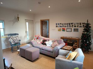 Télévision, cheminée, lecteur de DVD, livres