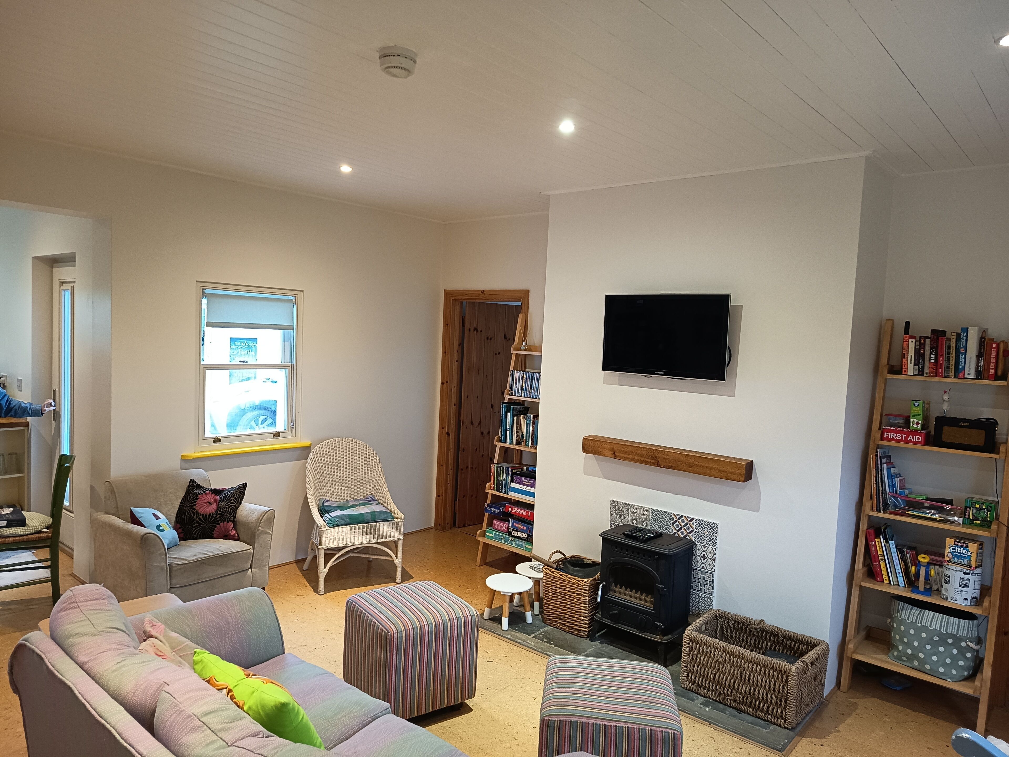 TV, fireplace, DVD player, books