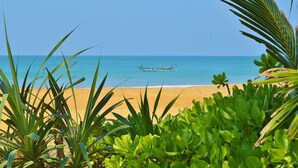 Ein Strand mit einem Boot im Wasser und üppiger Vegetation im Vordergrund.