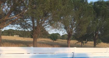Masseria Battaglini Los Trulli