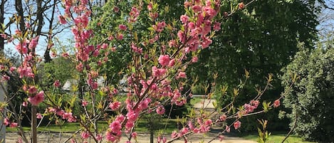 住宿场地